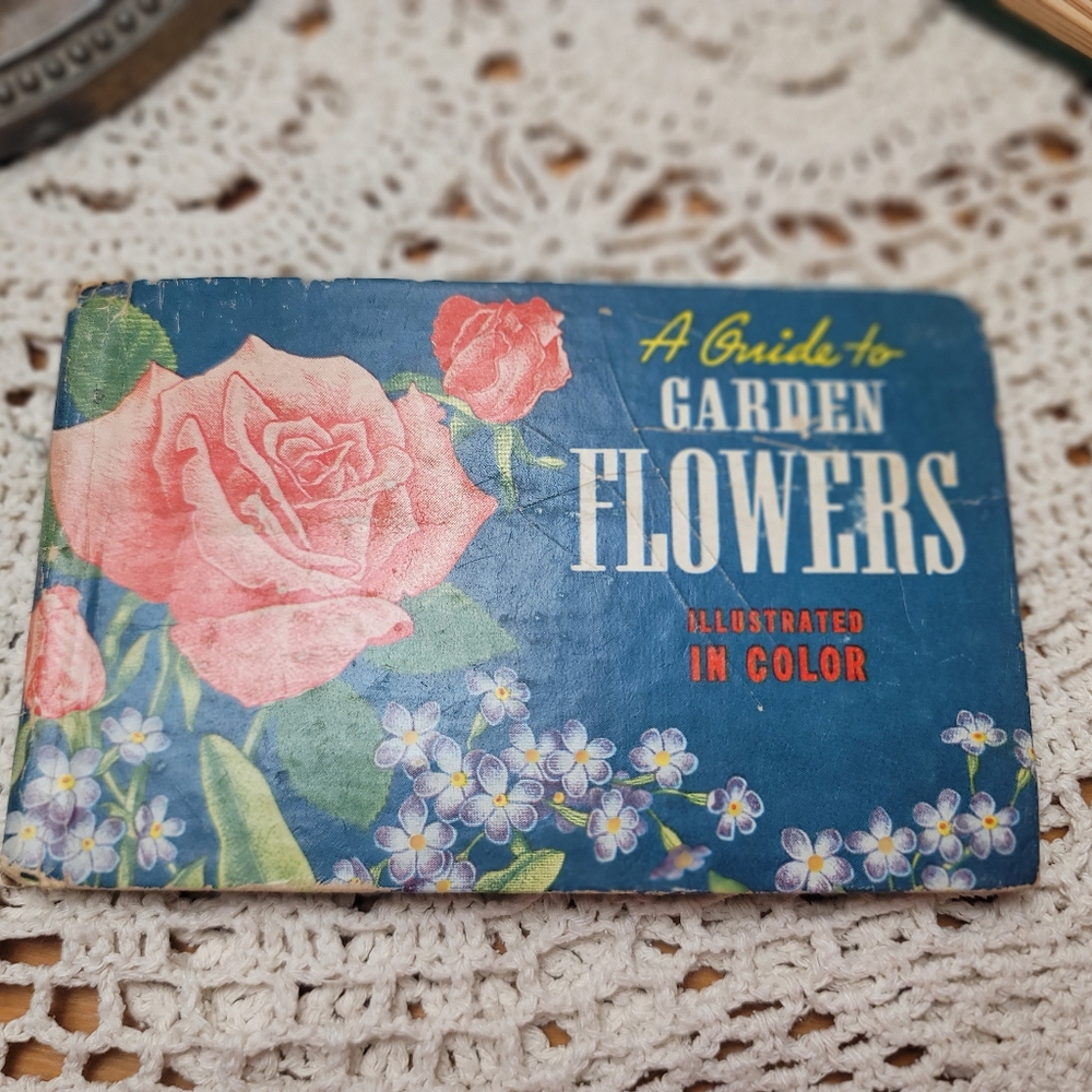 A Guide to Garden Flowers